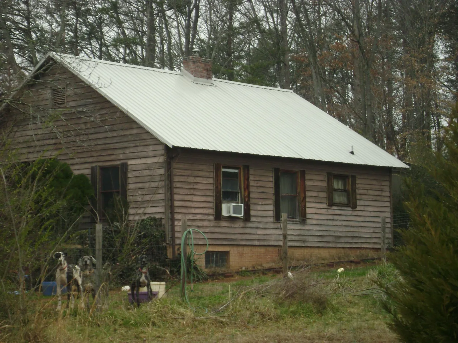 White metal roof on an old wood sided farmhouse, from a Asphalt Shingle Roof Repair job in Whiting